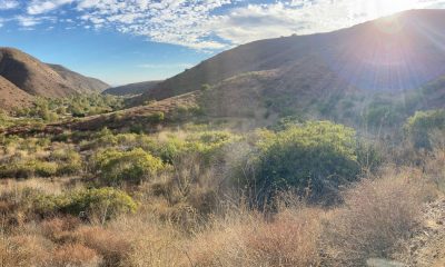 Acquaint Yourself With the Backbone Trail, L.A.'s Wildest Walk