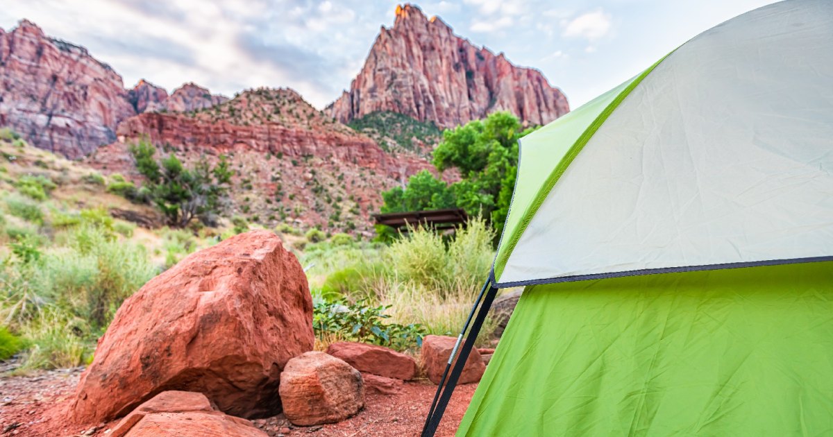 New Research Reveals What Makes the Perfect Campsite