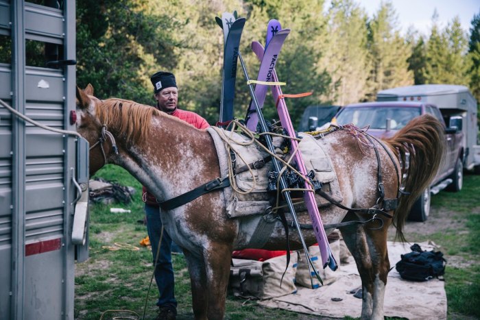 horse packing