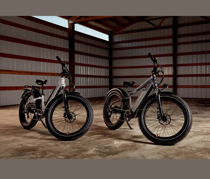 Two electric fat bikes in garage