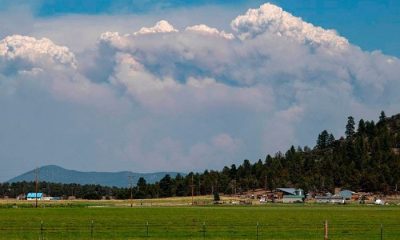 Tall plumes of smoke from the Bootleg Fire forms on the horizon of southern Oregon farmland.