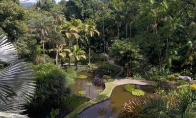 The gardens at Brazil's Sítio Roberto Burle Marx.