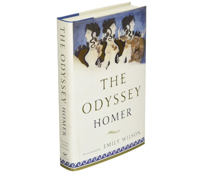 The book cover for The Odyssey by Homer, translated by Emily Wilson