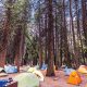 Our Campgrounds Need an Overhaul