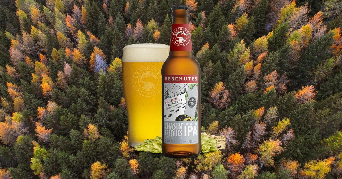 The Best Fall Beers to Drink This October