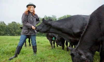 susan orlean feeds her cows on her upstate new york farm