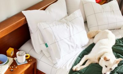 Pillows on bed with white dog on green comforter