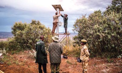 Rangers setting up solar-powered camera systems