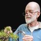 The art of bonsai, according to an engineer