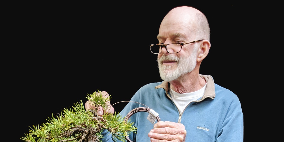 The art of bonsai, according to an engineer