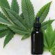 5 Best CBD Oils for Sleep and Insomnia in 2022