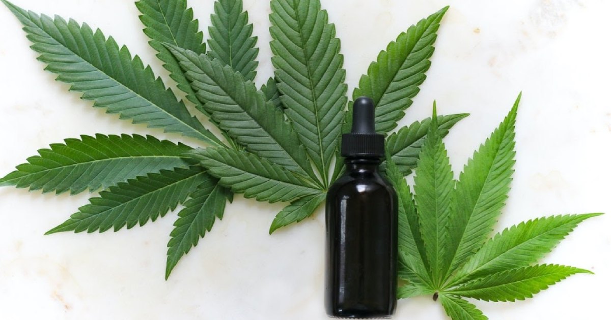 5 Best CBD Oils for Sleep and Insomnia in 2022