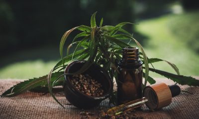 Best CBD Oil for Anxiety and Depression in 2022: Top 5 CBD Oil Brands