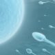 Can COVID-19 Infection Lead To Infertility In Men?