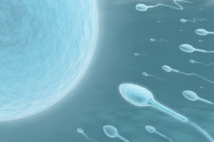 Can COVID-19 Infection Lead To Infertility In Men?