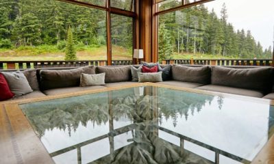 Glass table reflecting trees outside in forested area