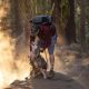Camping With a Dog: Essential Gear to Keep Your Pet Safe and Comfortable