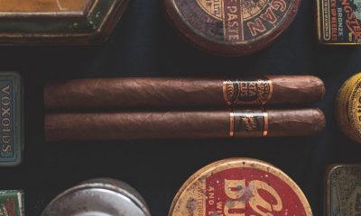 The Best Cigars for Beginners and How to Choose One for You