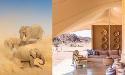 Image of elephants in desert to the left and luxury tented resort on right