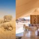 Image of elephants in desert to the left and luxury tented resort on right