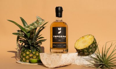 Best Añejo Tequila to Sip in 2022