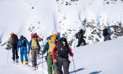 Single file row of backcountry skiiers skinning up a slope
