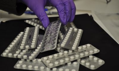 Male Contraceptive Pill Found 99% Effective In Mice