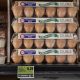 Egg prices are surging because of major disease, and it’s not COVID