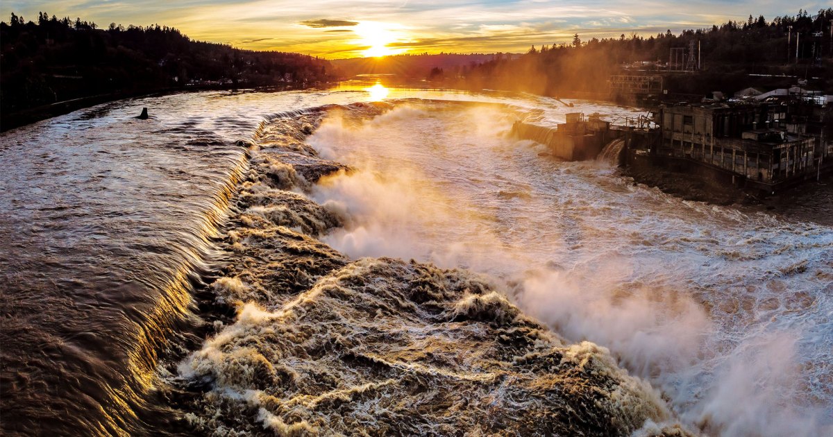 If You Want to Get Near Willamette Falls, Bring Bolt Cutters