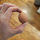 Stanford Students Develop COVID-19 Nasal Drop Using Chicken Eggs