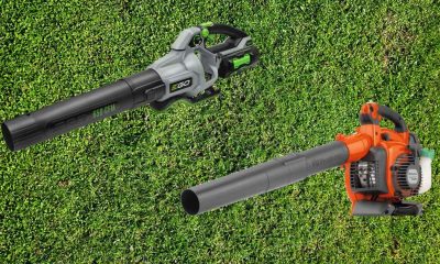 The Best Gas and Electric Leaf Blowers of 2022