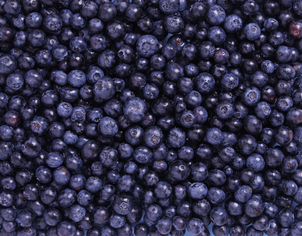 Wild Blueberry Extract Can Help Heal Wounds: Study