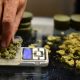 Experts Reviewing Cannabis For Link To Psychosis