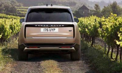 Rear view of 2022 Range Rover on a dirt road in a California vineyard