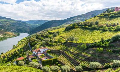 Meet Vinho Verde, Portugal’s Warm-Weather Wine