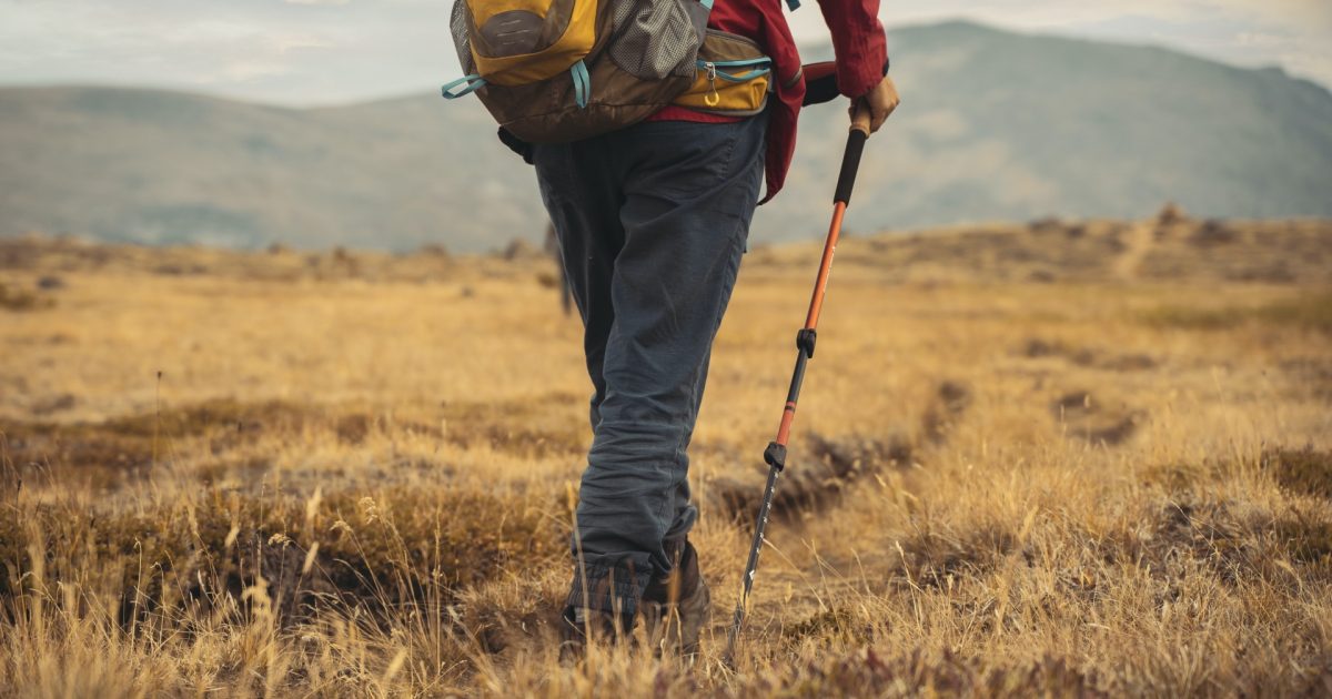 The 12 Best Trekking Poles of 2022