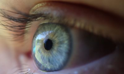 Corneas Made From Pig Skin Restore Vision During Trial, Reignite Hope For Visually Impaired