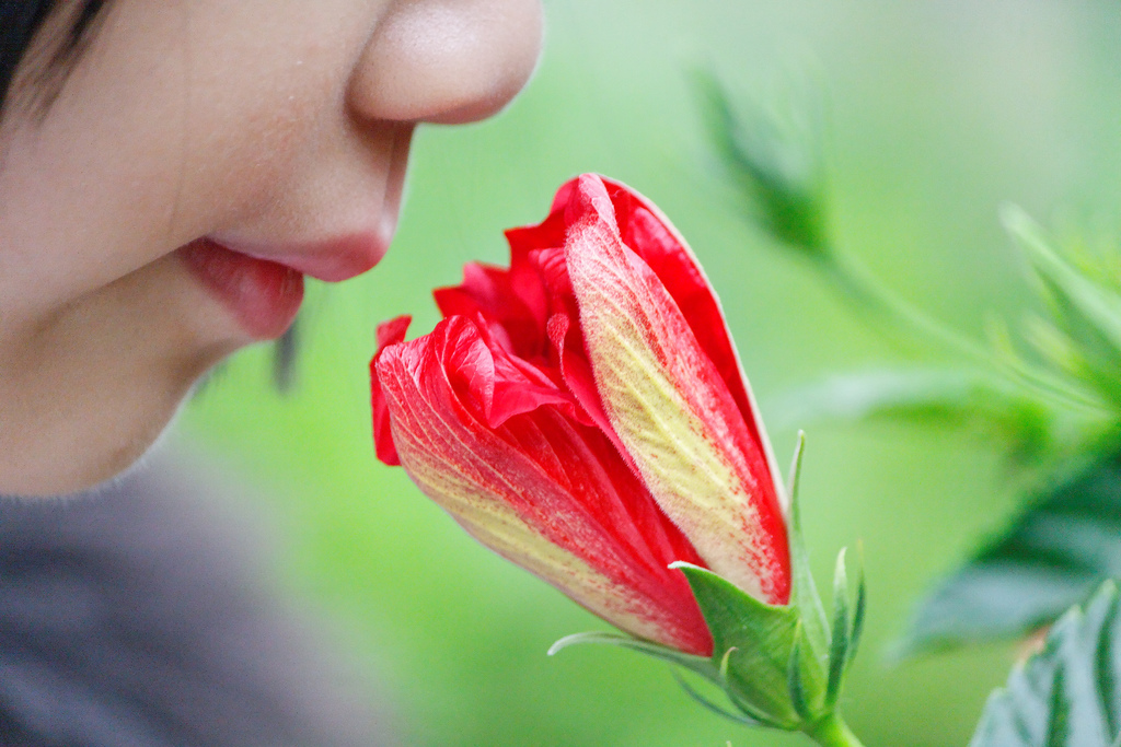 Could Loss Of Smell From COVID-19 Lead To Memory Problems?