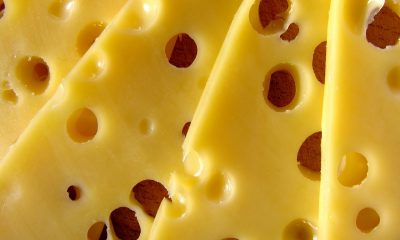 This Type Of Cheese May Benefit Your Bone Health