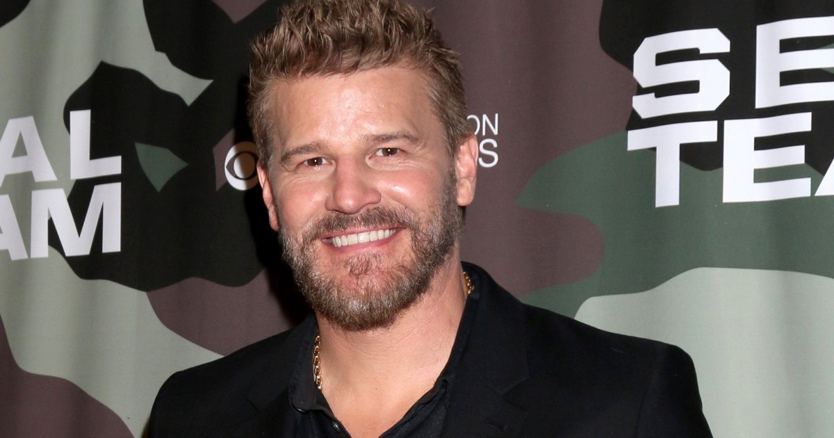 David Boreanaz Gets Real About the New Season of 'SEAL Team'