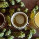 Everything You Need to Know About Hops