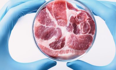 Will lab-grown meat reach our plates?