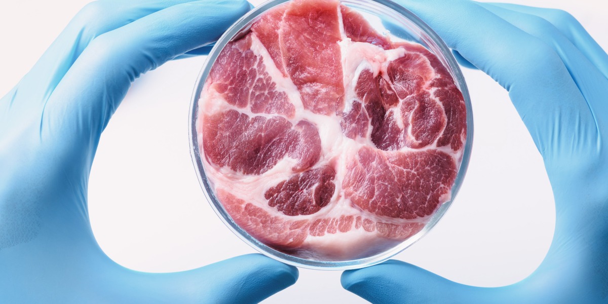 Will lab-grown meat reach our plates?