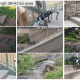grid of clips of robot dog walking on stairs