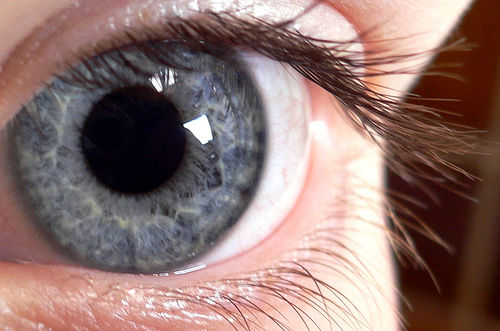 Hope For Macular Degeneration? 'One Step Closer' To Cure For Age-Related Blindness