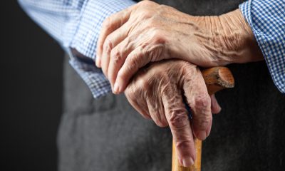 Scientists Find Differences In Brain Structure Of Older People With Better Cognitive Abilities