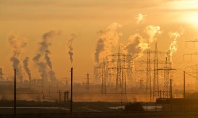 Air Pollution Causes Bone Damage In Postmenopausal Women, Study Finds