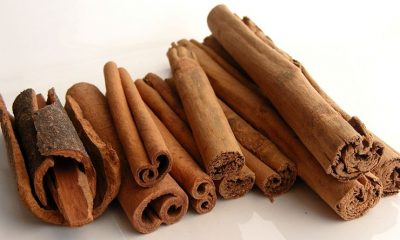 Here’s How Cinnamon Influences Brain Function