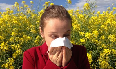 'Nonstop Onslaught Of Pollen': Allergy Season Getting Prolonged In More Than 170 Cities