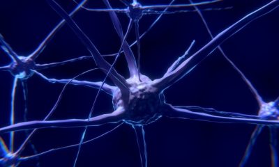 MS targets Central Nervous System